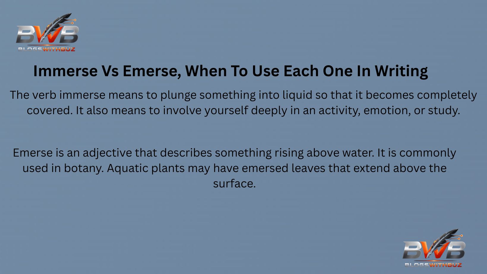 Immerse Vs Emerse, When To Use Each One In Writing