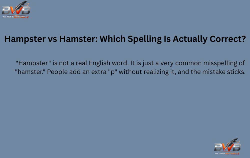 Hampster vs Hamster: Which Spelling Is Actually Correct?
