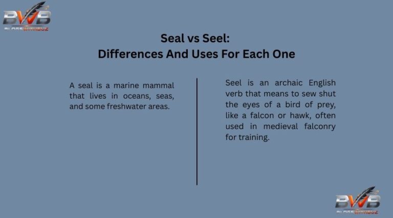 Seal vs Seel Differences And Uses For Each One