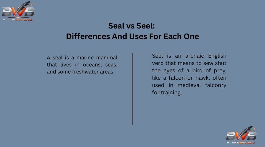 Seal vs Seel Differences And Uses For Each One