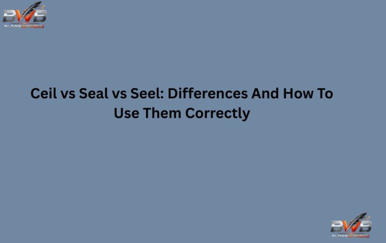 Ceil vs Seal vs Seel: Differences And How To Use Them Correctly
